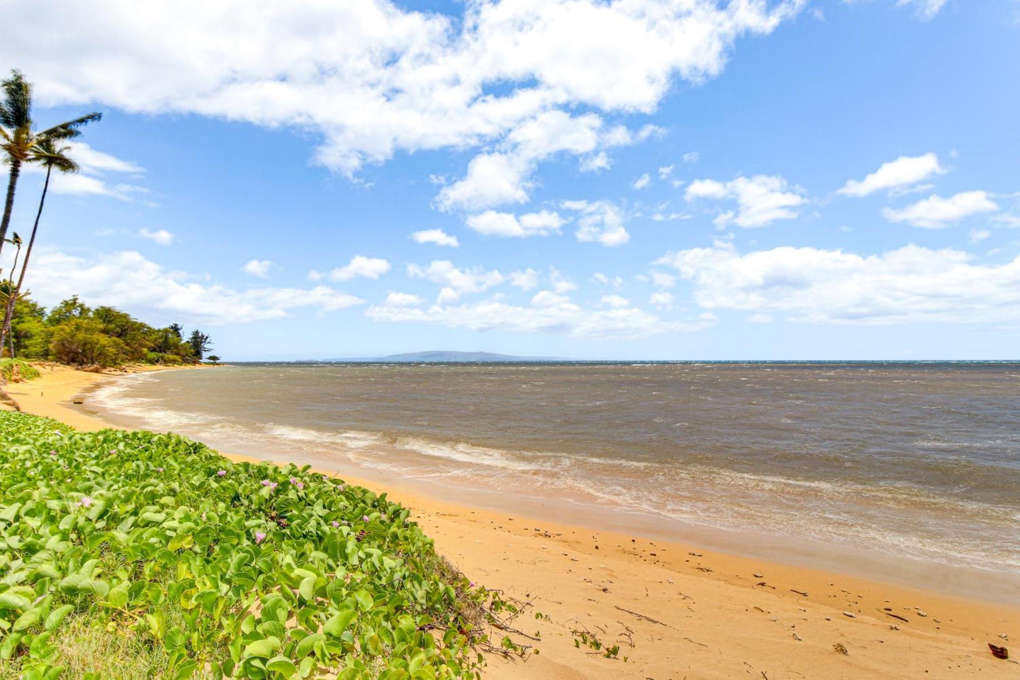 Gorgeous Oceanfront Condo With Spectacular Views! Kihei Eksteriør bilde