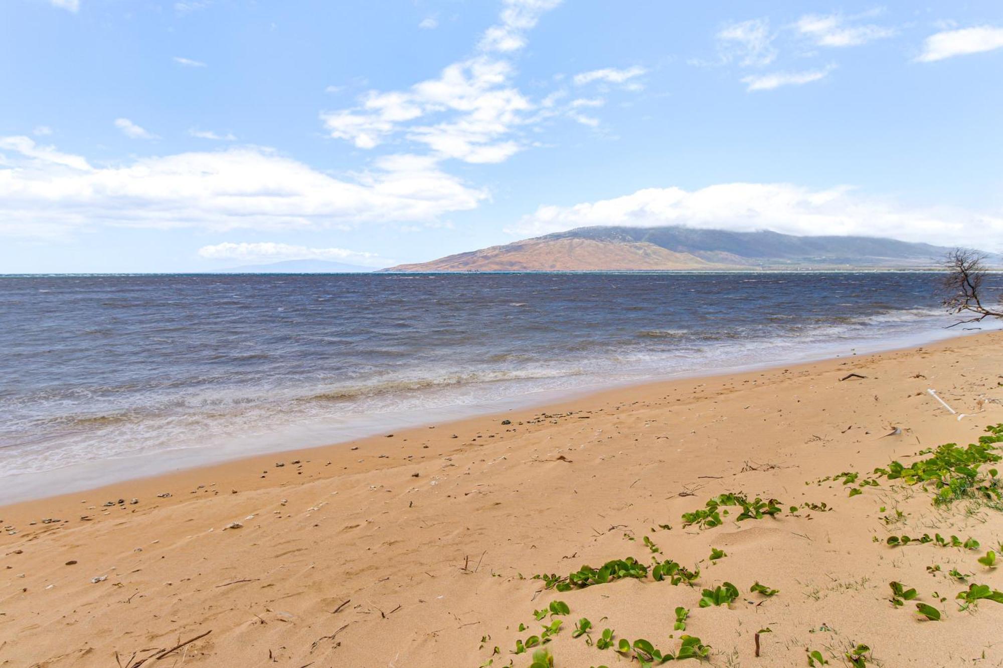 Gorgeous Oceanfront Condo With Spectacular Views! Kihei Eksteriør bilde