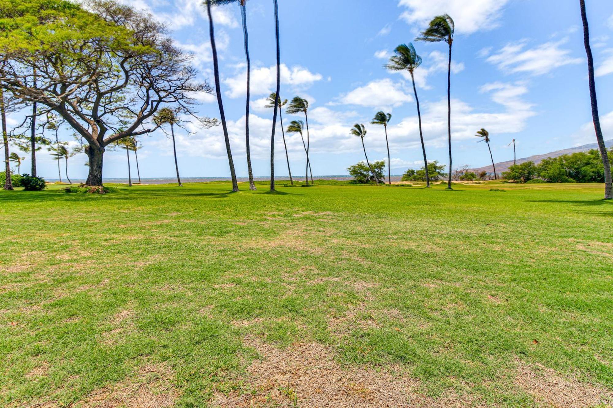 Gorgeous Oceanfront Condo With Spectacular Views! Kihei Eksteriør bilde